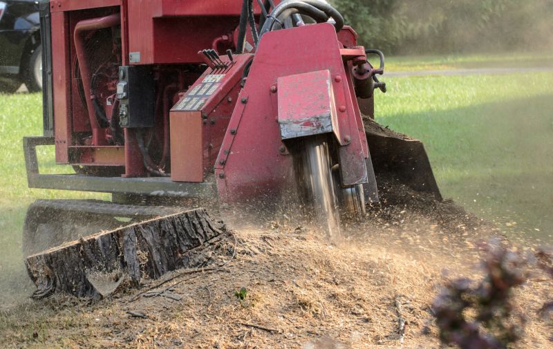 Stump Grinding in Action