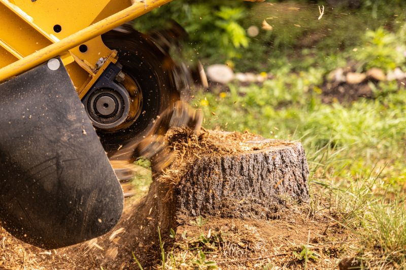 Stump Removal