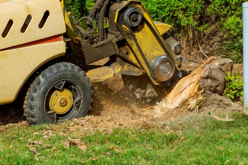 Professional Tree Service Equipment