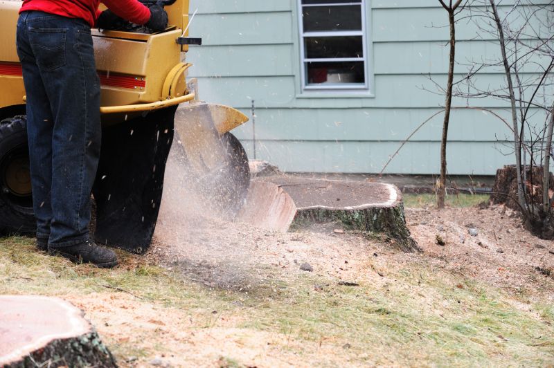 Stump Removal Service