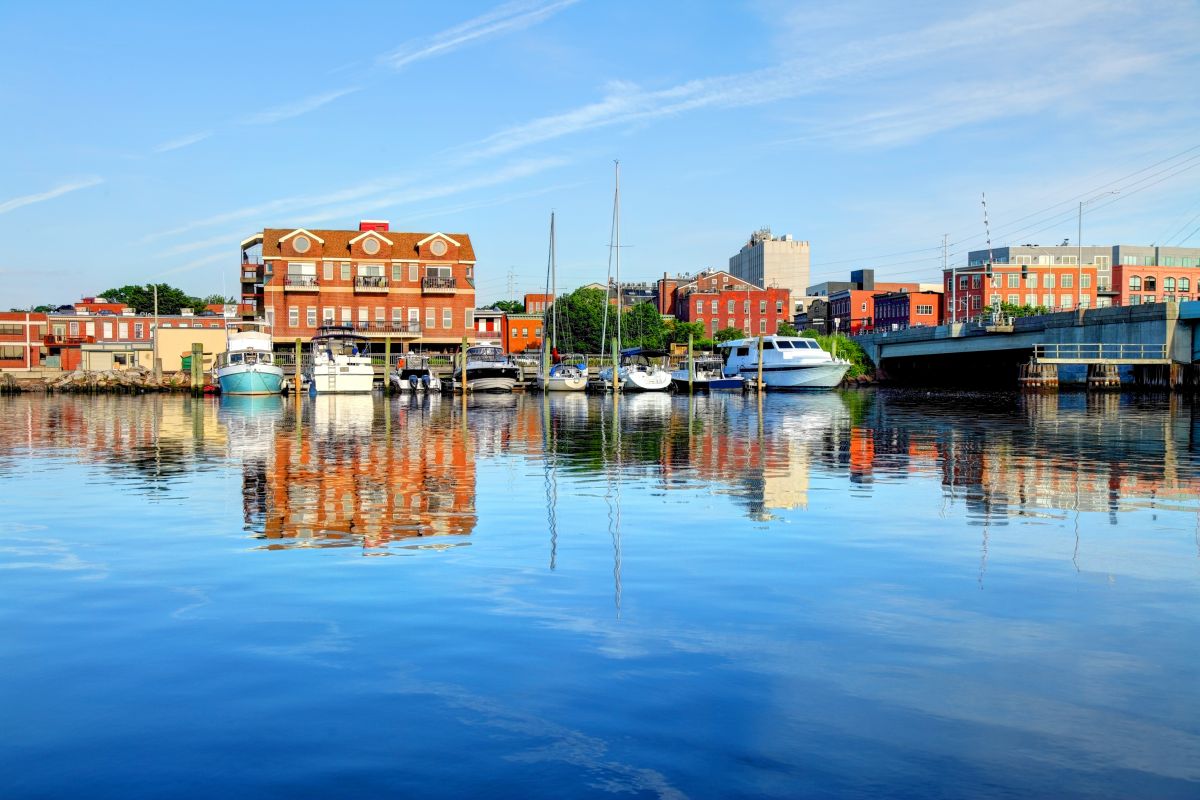 Stump Removal: Norwalk