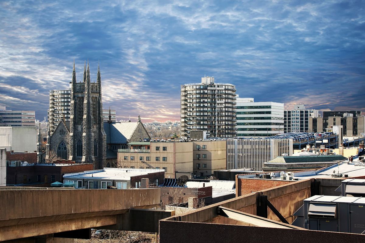 Stump Removal: Stamford