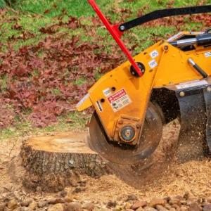 Anchorage Stump Grinding